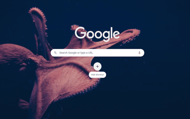 Brown Octopus Chrome Theme